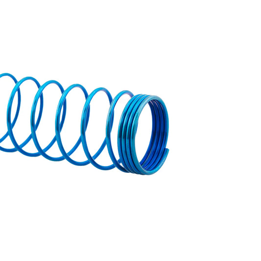 Waldo Dynamics VFC M4 Ion Winter Recoil Spring